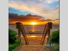 2022 Heartland Pioneer BH 270 Corner Bunks - Photo 50