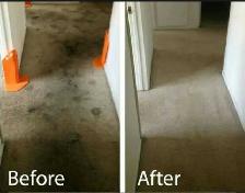 Vanguard Carpet Tile & Upholstery Cleaners - Photo 6
