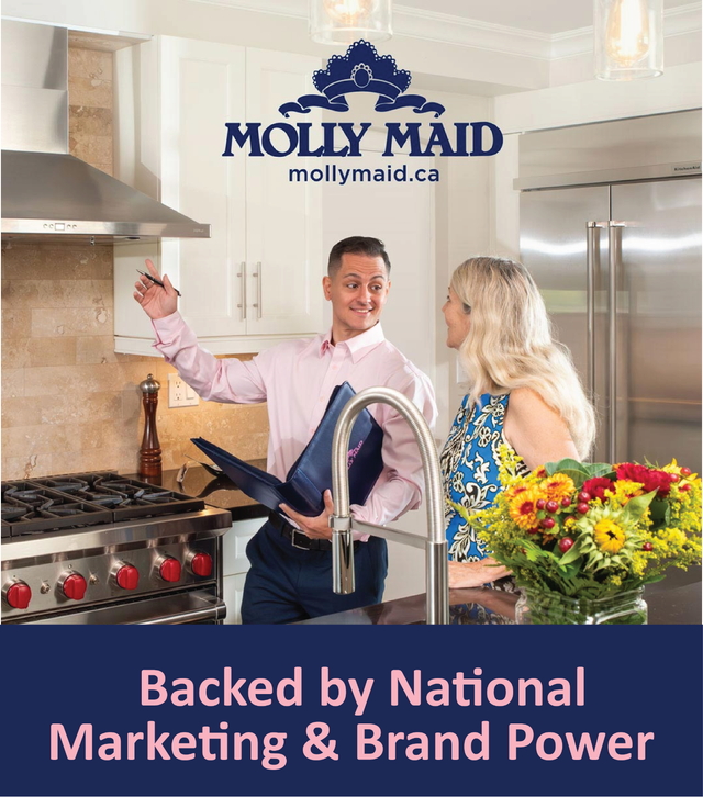 Established Cleaning Franchise for Sale – Mississauga North