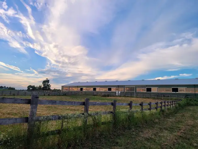 Horse Boarding Available!