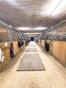 Horse Boarding Available! - Photo 3