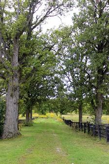 Horse Boarding Available! - Photo 7