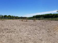 Horse Boarding Available! - Photo 8