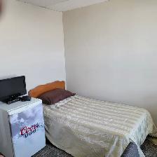 Furnished bachelor -all utilities included-pet friendly - Photo 6