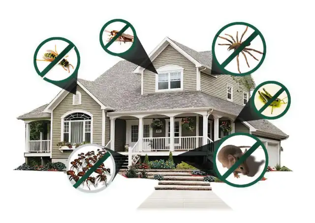 Pest Control Saskatoon