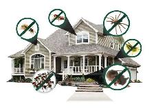 Pest Control Saskatoon