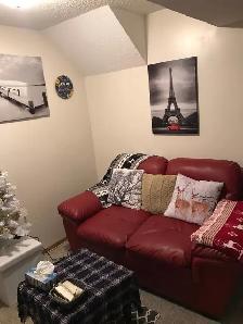 1 bedroom 1 bathroom Basement suite for rent in Martindale NE