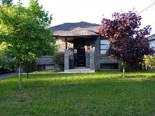 Pension pour petits chiens - Photo 3