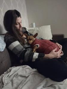 Pension pour petits chiens - Photo 4