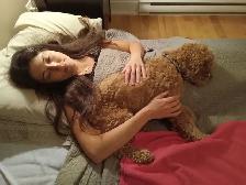 Pension pour petits chiens - Photo 6