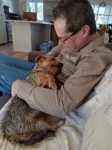 Pension pour petits chiens - Photo 8