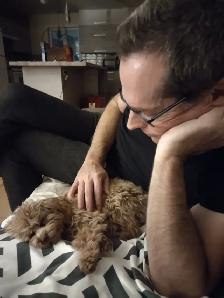 Pension pour petits chiens - Photo 9