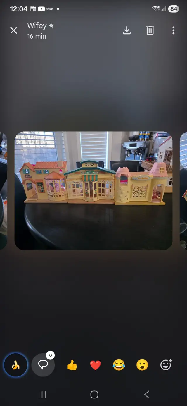 Calico Critters Collection