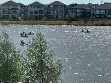 Furnished  private room