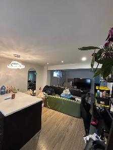 1 bedroom 1 bath apartment - Photo 4