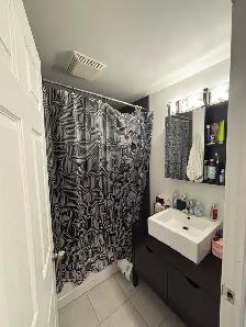 1 bedroom 1 bath apartment - Photo 9