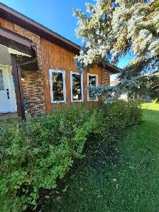 Painter services - Photo 3