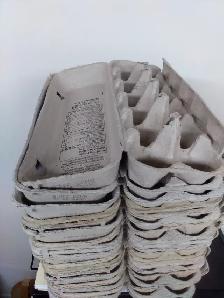 Egg Cartons - Photo 3