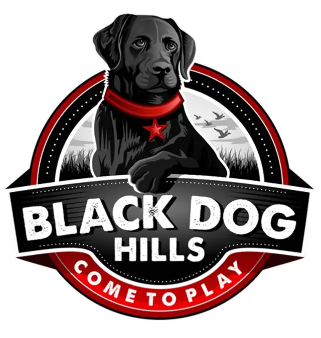 Graphic Designer ★ Logos, BCards, Flyers, Vector, WebD, Labels