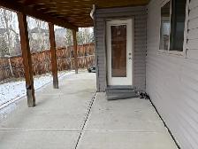 Executive Large 1-Bedroom Legal Walkout Suite – Panorama NW