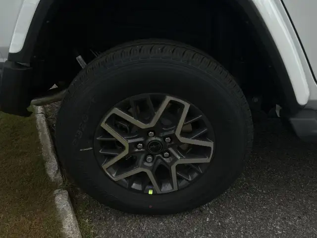 2025 Jeep Wrangler 4-Door Sahara - Photo 9