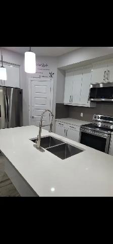 Professional House Cleaner - Photo 2