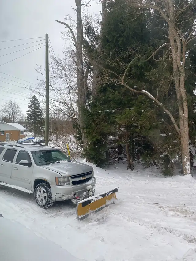 Driveway Clearing & Snow Shoveling
