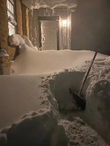 Driveway Clearing & Snow Shoveling - Photo 3