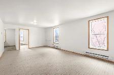 Fully Remodelled Triplex located in the heart of Winnipeg! - Photo 6