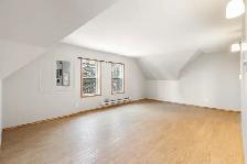 Fully Remodelled Triplex located in the heart of Winnipeg! - Photo 8