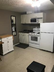 ONE BLOCK TO SASKPOLYTECH. 8 WEEK TENANCIES. ONE BDRM SUITES