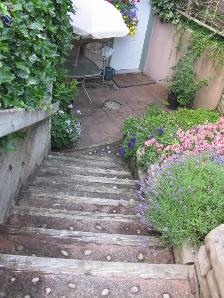 One Bedroom Basement Apartment Near U.B.C - Photo 7