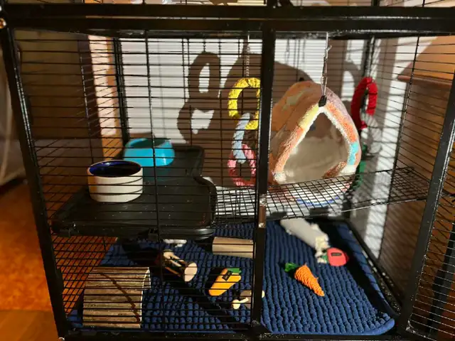 Cage a rat - Photo 6