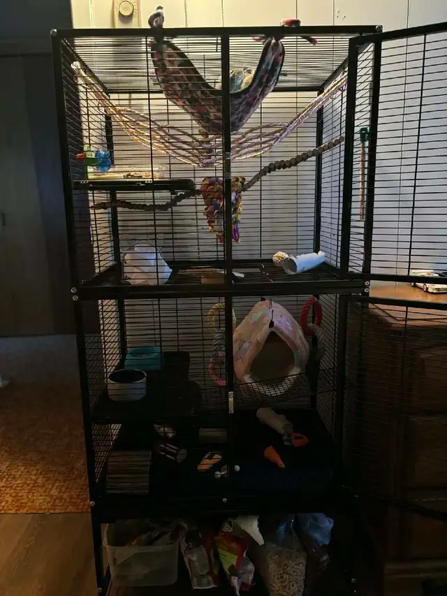 Cage a rat - Photo 7