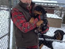 pets for re homing - Photo 2