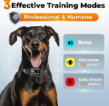 Akubmri Dog Training Collar - Photo 2