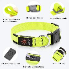 KOSKILL LED Light-Up Dog Collar - Photo 3