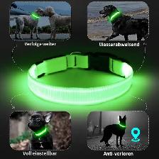KOSKILL LED Light-Up Dog Collar - Photo 4