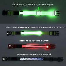 KOSKILL LED Light-Up Dog Collar - Photo 5