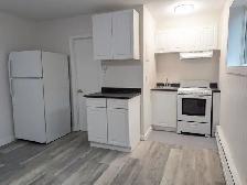 Studio Suite for Rent - Photo 5