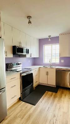 A Large Master Bedroom for Rent in Brock Centre on April 1st - Photo 9