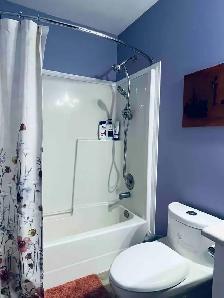 A Large Master Bedroom for Rent in Brock Centre on April 1st - Photo 10