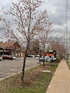 Experienced Accountant and Tax Professional - Photo 2