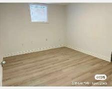Markham Rd / Steels Walkout basement