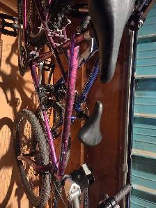 mid winter mountain bike blowout