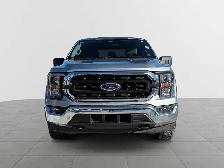 2023 Ford F-150 XLT XLT | 4WD SuperCrew 5.5' Box - Photo 3