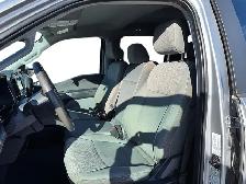 2023 Ford F-150 XLT XLT | 4WD SuperCrew 5.5' Box - Photo 10