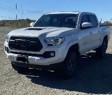 2021 Toyota Tacoma 4x4 Double Cab TRD Sport 6-Speed Manual