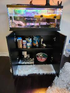 red eared slider turtle - Photo 7