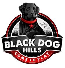 Graphic Designer - Logos, BCards, Flyers, Vectorizing, WebDesign - Photo 9